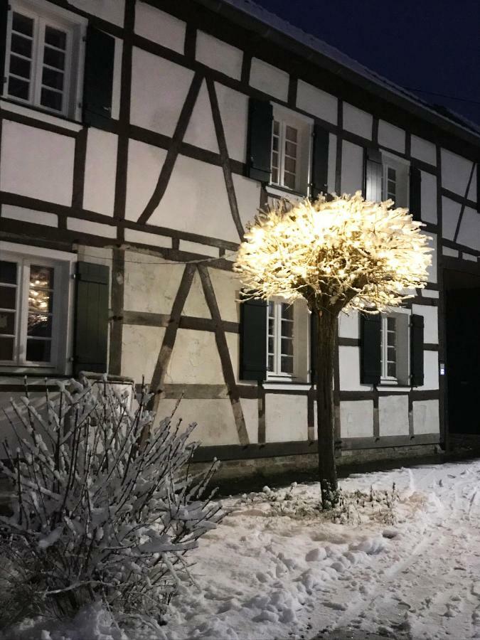 Sonnige Fachwerkwohnung Alfter Экстерьер фото